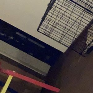 Meet your Posher, Daisha